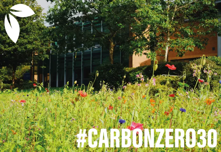 Environmentalcampaign Buckets Hq Wildflowers 2 #CarbonZero30